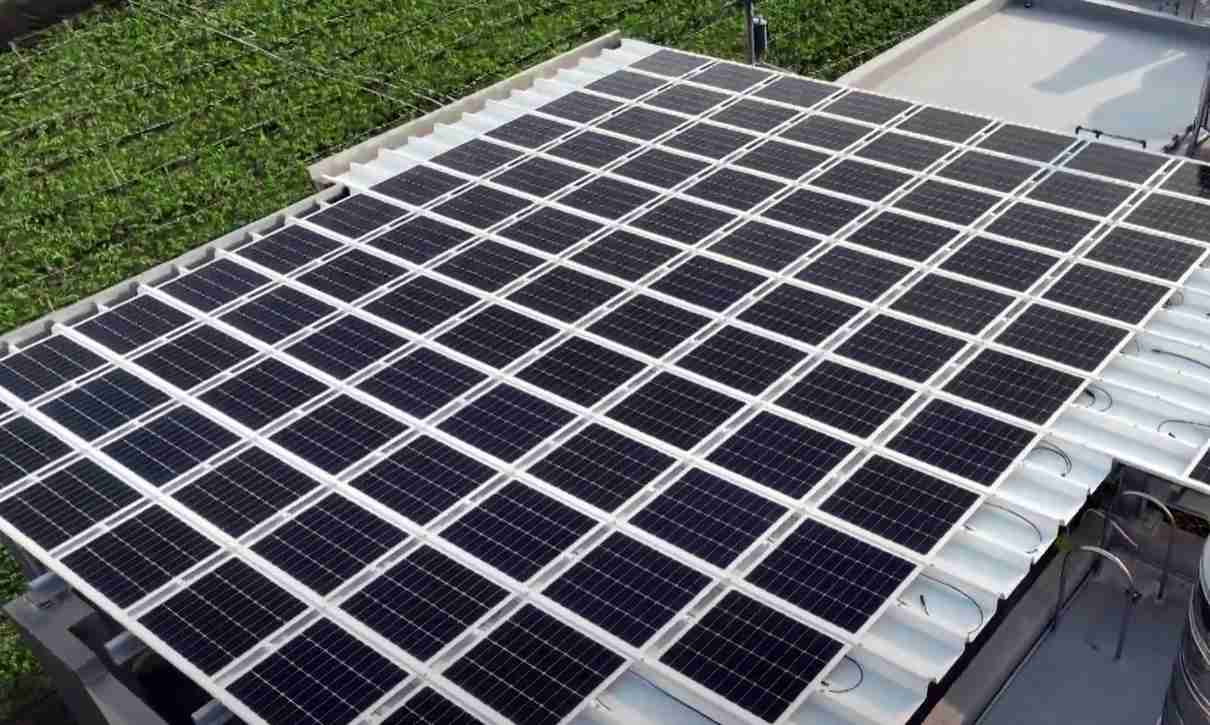 至成国际SunSteel光电浪板升级双玻结构，，，，以提升机械负载强度及气候耐候度，，，，可广泛运用于多元场域